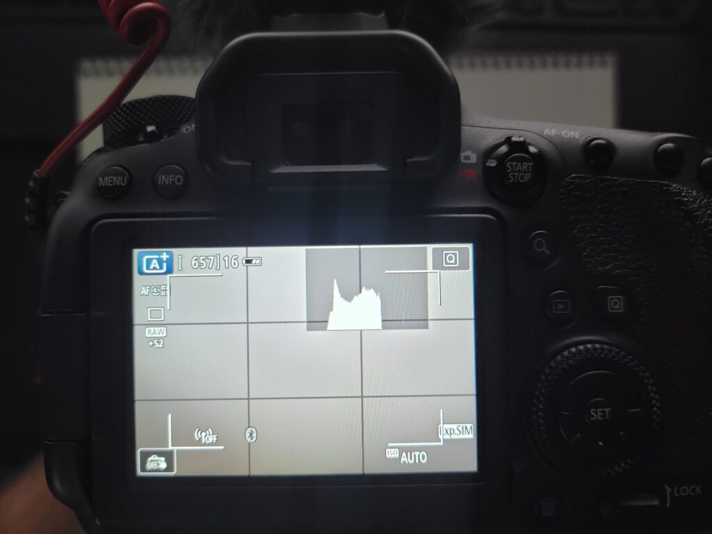 Grid Lines showing on Canon 6D Mark II in Live View Mode. 