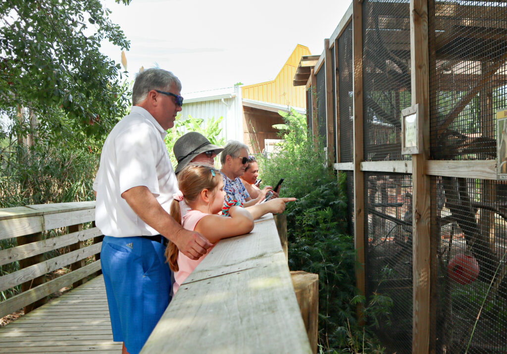 Family at the zoo looking at an animal exhibit. This photo is an example of using leading lines. One of the technique for how to make your family photos and videos look AMAZING.